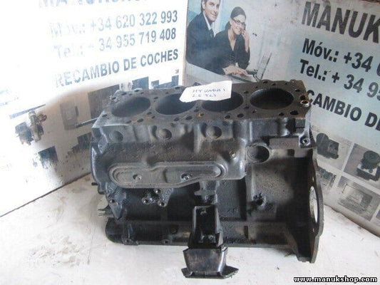 Motor Hyundai Terracan 2.5 TCi D4BH W124455