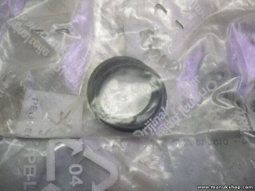 O-RING 1/O-Ring 1 Citroen Peugeot 117017 1170 17