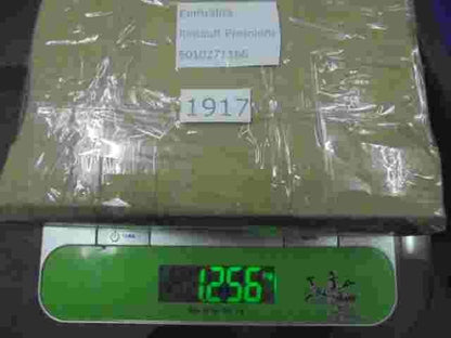 Centralita Variador electrónico Renault Premium 1996 5010271166 DENSO 1758000453