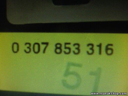 Control de alcance de los faros Opel Corsa C Opel Zafira A 0307853316