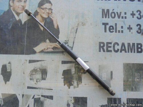 Portón Trasero amortiguador Hyundai Santa Fe 2003 8177017030