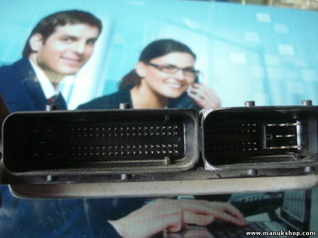 Centralita  VW Volkswagen Seat 038906012BS 28SA4211 BOSCH 0281010228