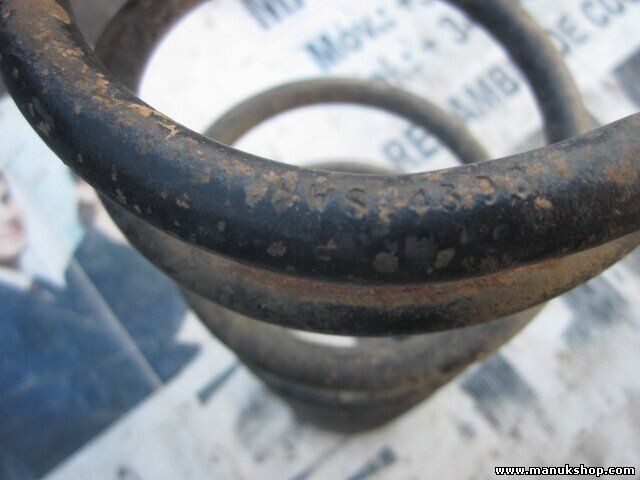 Muelles Land Rover Discovery TD5 HWS4389 HWS 4389