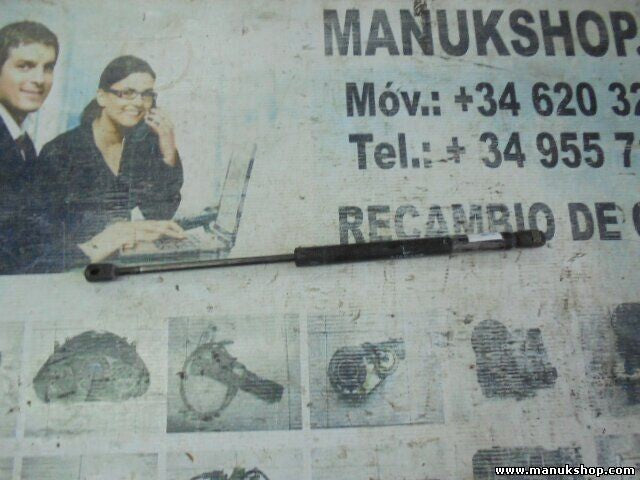 Portón Trasero amortiguador Land Rover Range Rover 3937AM