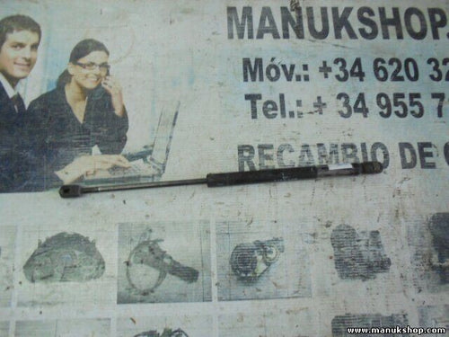 Portón Trasero amortiguador Land Rover Range Rover 3937AM