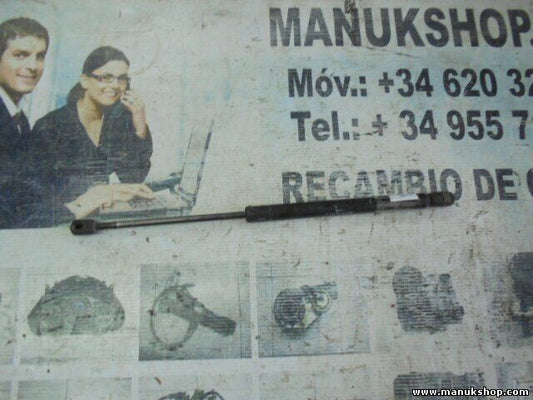 Portón Trasero amortiguador Land Rover Range Rover 3937AM