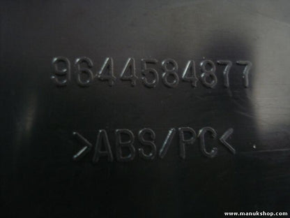 Carbon Peugeot 407 9644584877 9646824577 96 468 245 77