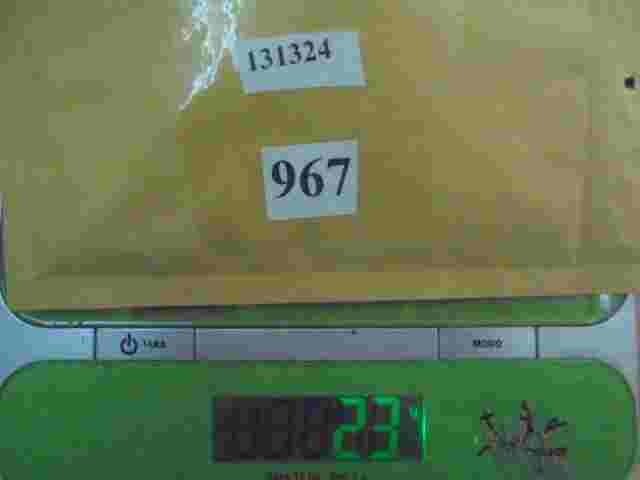 Ojete Citroen Peugeot 131324 1313.24