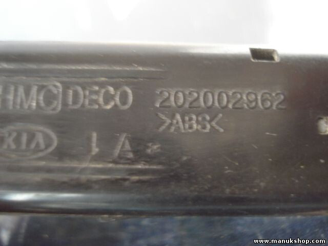 Niebla interruptor Kia Hyundai Accent 202002962