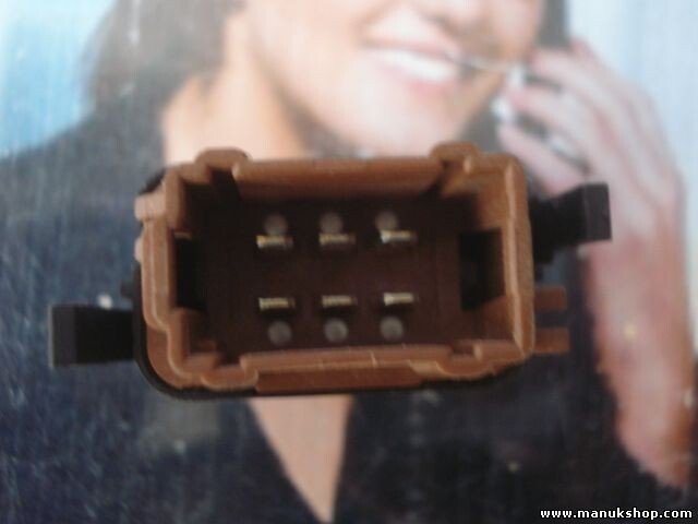 Interruptor Luneta Trasera Desempañador Renault 2648802 26488 02 060037 205100H