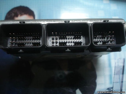 Centralita del motor Renault Megane Scenic Clio 8200222133 8200153945 1039S00273