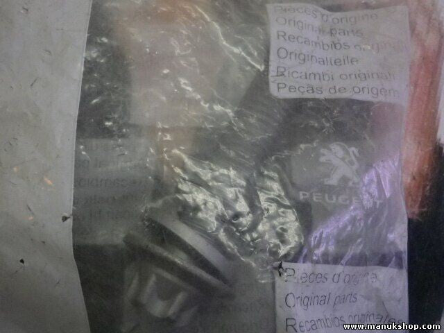 Citroen Peugeot 362253 3622 53