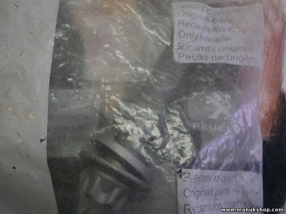 Citroen Peugeot 362253 3622 53