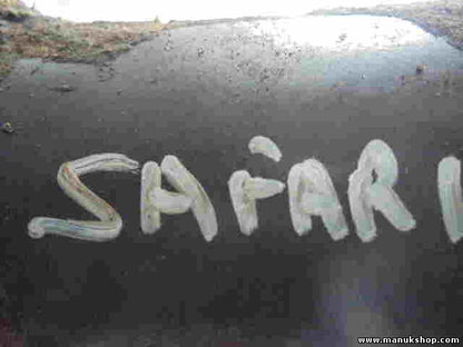 Grupo Diferencial Delantero Tata Safari 2.2 2005-07 33050109N piñón 41/9