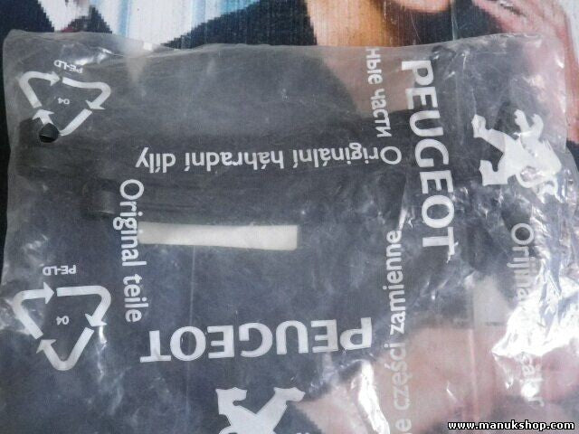 Citroen Peugeot 795307 7953.07