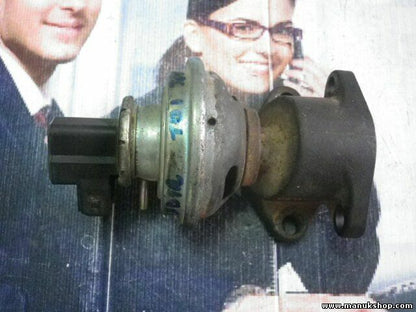 EGR Valvola di ricircolo gas di scarico Land Rover 2.2 24114150