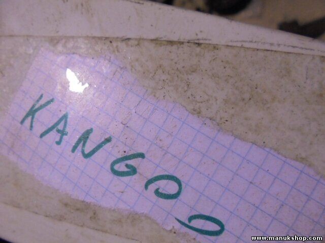 Parrilla rejilla frontal delantera Renault 8200150629C 8200 150 629 8200150629