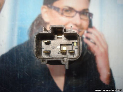 Interruptor Luneta Trasera Desempañador Ford Fiesta 96FG 18C621 AA 96FG18C621AA