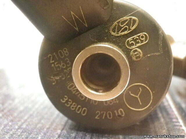 Inyectores Hyundai Santa Fe Kia Carens BOSCH 0445110064 0445110 064 3380027010