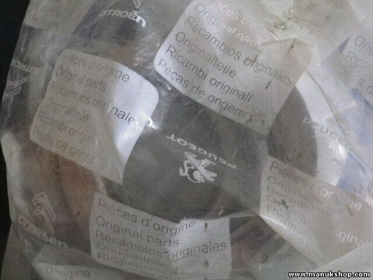 Citroen Peugeot 515409 5154 09