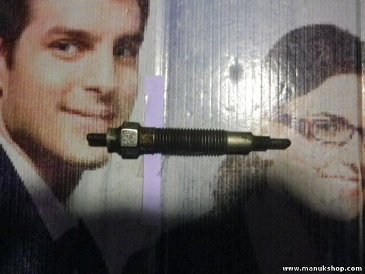 Bujía de precalentamiento Nissan Terrano Ford Maverick T2 CY08IIV12JA