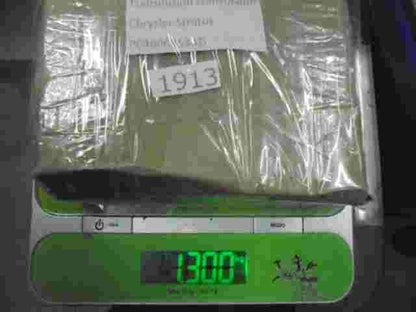 Transmisión controlador Chrysler Stratus P04606963AD 04606963AD