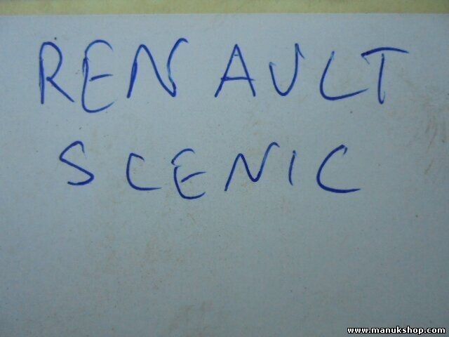 Muelles Renault Scenic I 1.9 DCi XX4