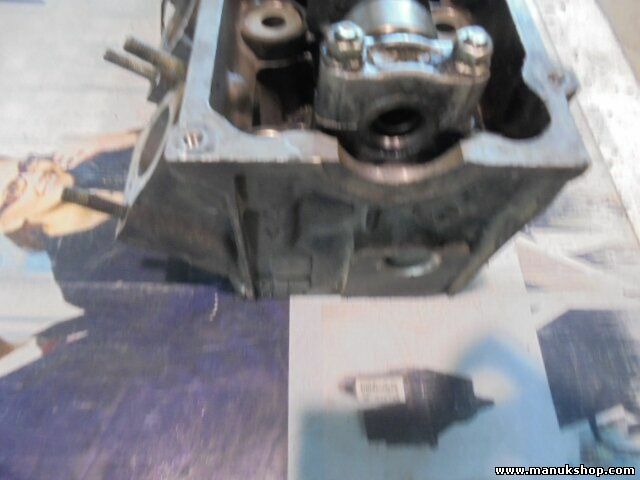 Culata Land Rover Range Rover (Lp) 2.5 100 KW 256T BMW 1994-2002 2244250 04