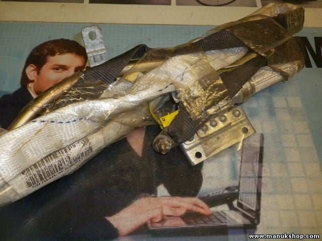 Airbag del techo lateral BMW X5 E53 TRW 8482671573 30317951L 30317948 303117949