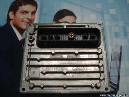 Centralita del motor Ford KA 2004 SIEMENS S118685001E S118685001 E 1S5X12A650BD