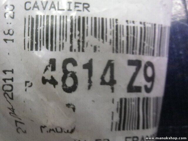 1Citroen Peugeot 4614Z9 4614 Z9