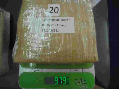 Centralita del motor Kia Opirus Amanti 3.5 3.8 2008 391103C821 DELPHI 11871497