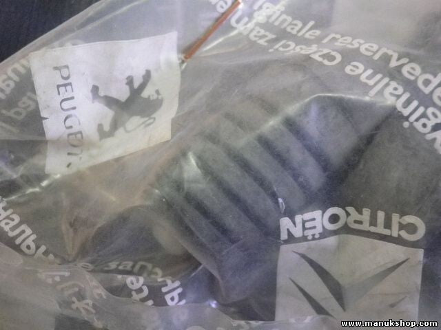 EMPUJE Citroen Peugeot 698379 6983.79