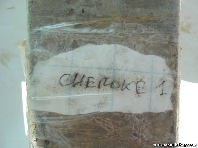 Ballestas suspensión Jeep Cherokee XJ 2.5i 4x4 RPN390AB 0728