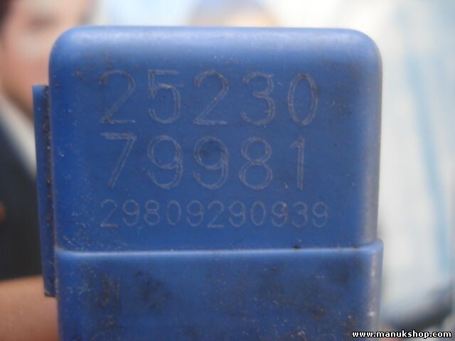 Relè di ventilazione Nissan Almera 25230 79981 29809290939 2523079981