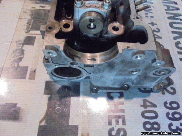 Culata Land Rover Range Rover (Lp) 2.5 100 KW 256T BMW 1994-2002 2244250 04