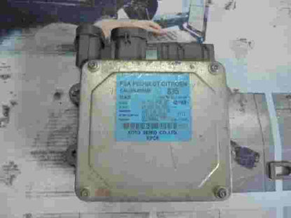 Controllo servosterzo Citroen Peugeot 9653783580 6900000555 Q1T19074M2ZE