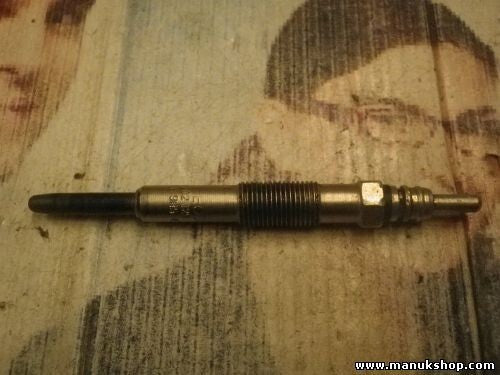 Bujía de precalentamiento Renault Kangoo Clio II Dacia Solenza 0250202129 11V