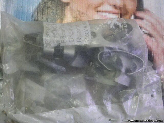 1Citroen Peugeot 4614Z9 4614 Z9