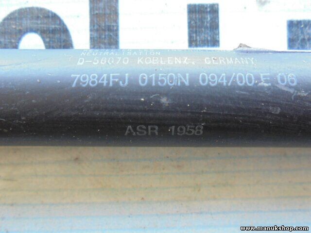 Portón Trasero amortiguador Land Rover Freelander 7984FJ 0150N 094/00 E 06