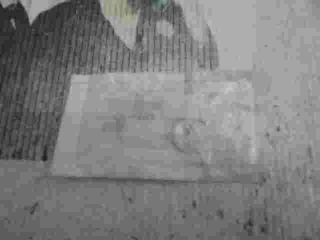 Peugeot Citroen 198133 1981 33