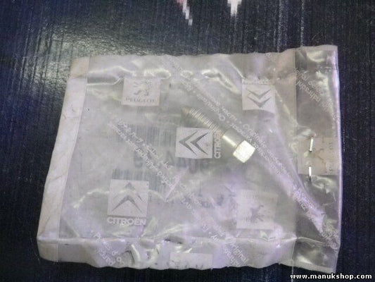 Citroen Peugeot 9044.39 904439