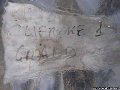 Muelles Jeep Grand Cherokee I 52088379 61368