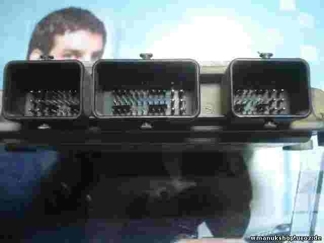 Centralita Citroen C3 1.4 SW9650529880 9650529880 HW9648624280 5WS40068B-T