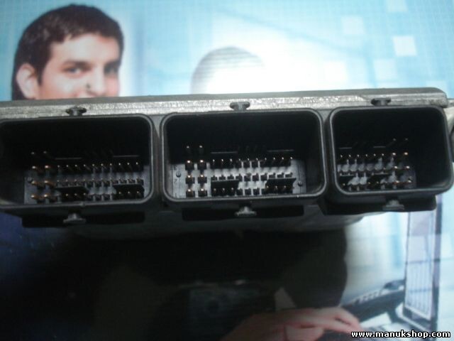 Centralita del motor Renault Laguna HOM 8200126462 HOM8200126462 8200126462