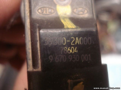 Sensor posición del árbol de levas Hyundai i30 Getz Matrix Kia Rio 393002A000