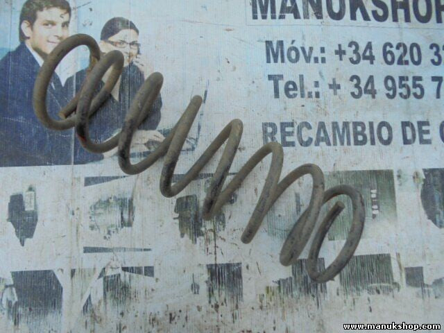 Muelles Nissan Terrano Patrol X-Trail King Cab Navara