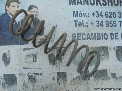 Muelles Nissan Terrano Patrol X-Trail King Cab Navara