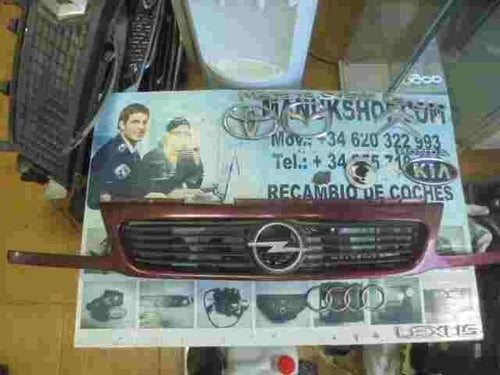 Parrilla rejilla frontal delantera Opel Astra F G 90452416 90 452 416 22256PP