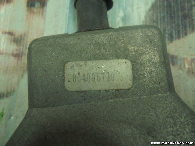 Control de la unidad de alarma inmovilizador módulo Tata Safari 004006730